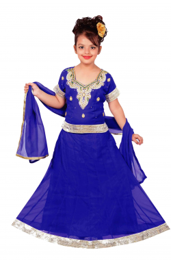 Blue Lehenga - 1143